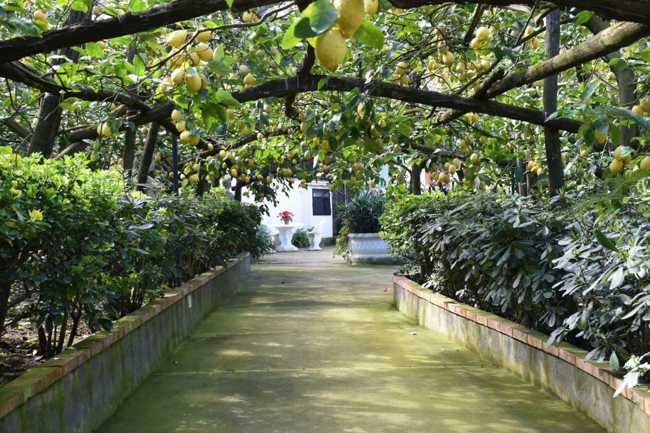 Apartamento De Gregorio Massa Lubrense Exterior foto